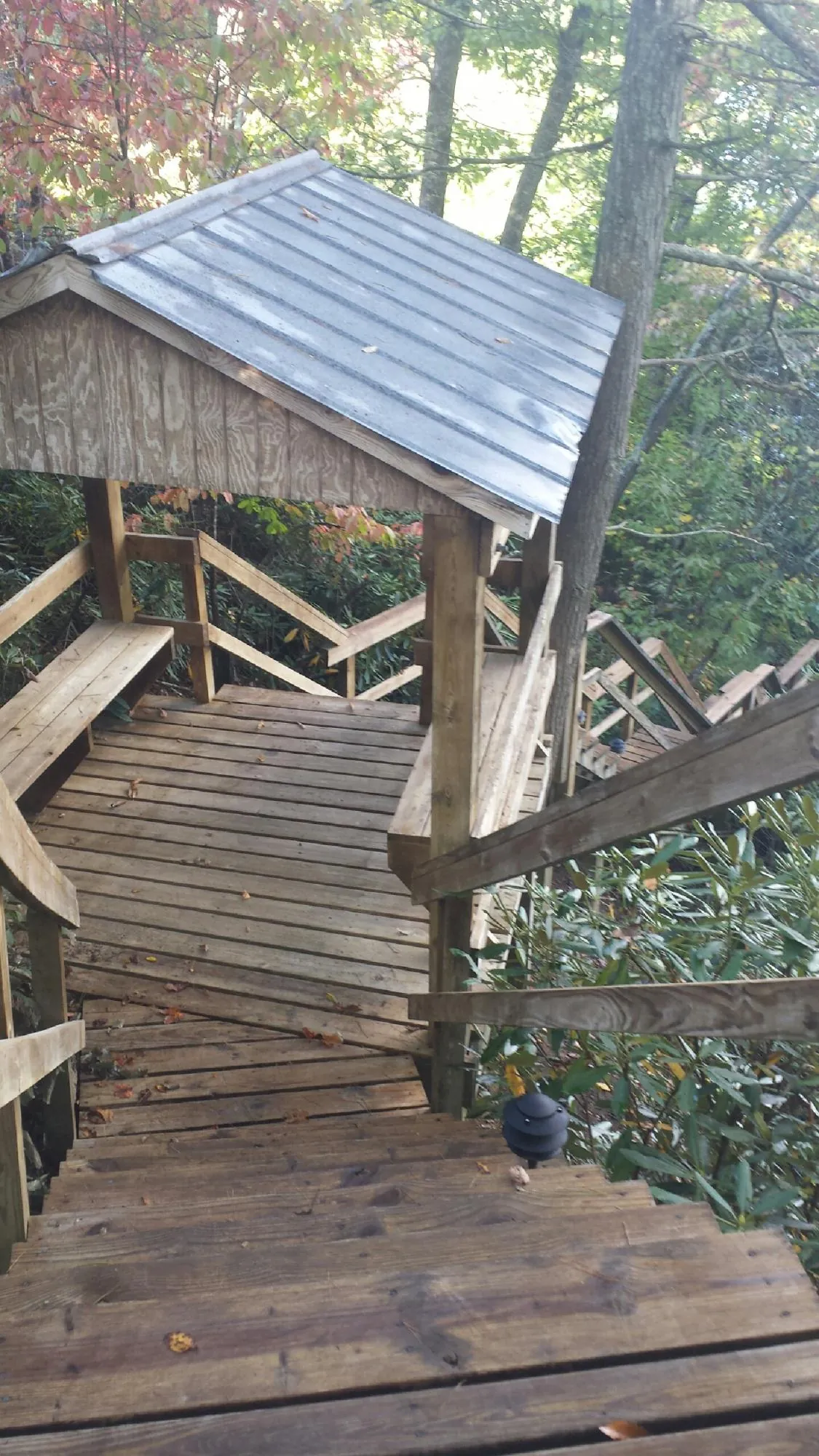 Metal roofed shelter over wooden steps on a wooded walkway in Pearson
